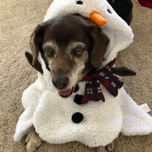 Meet your Posher, Katherine